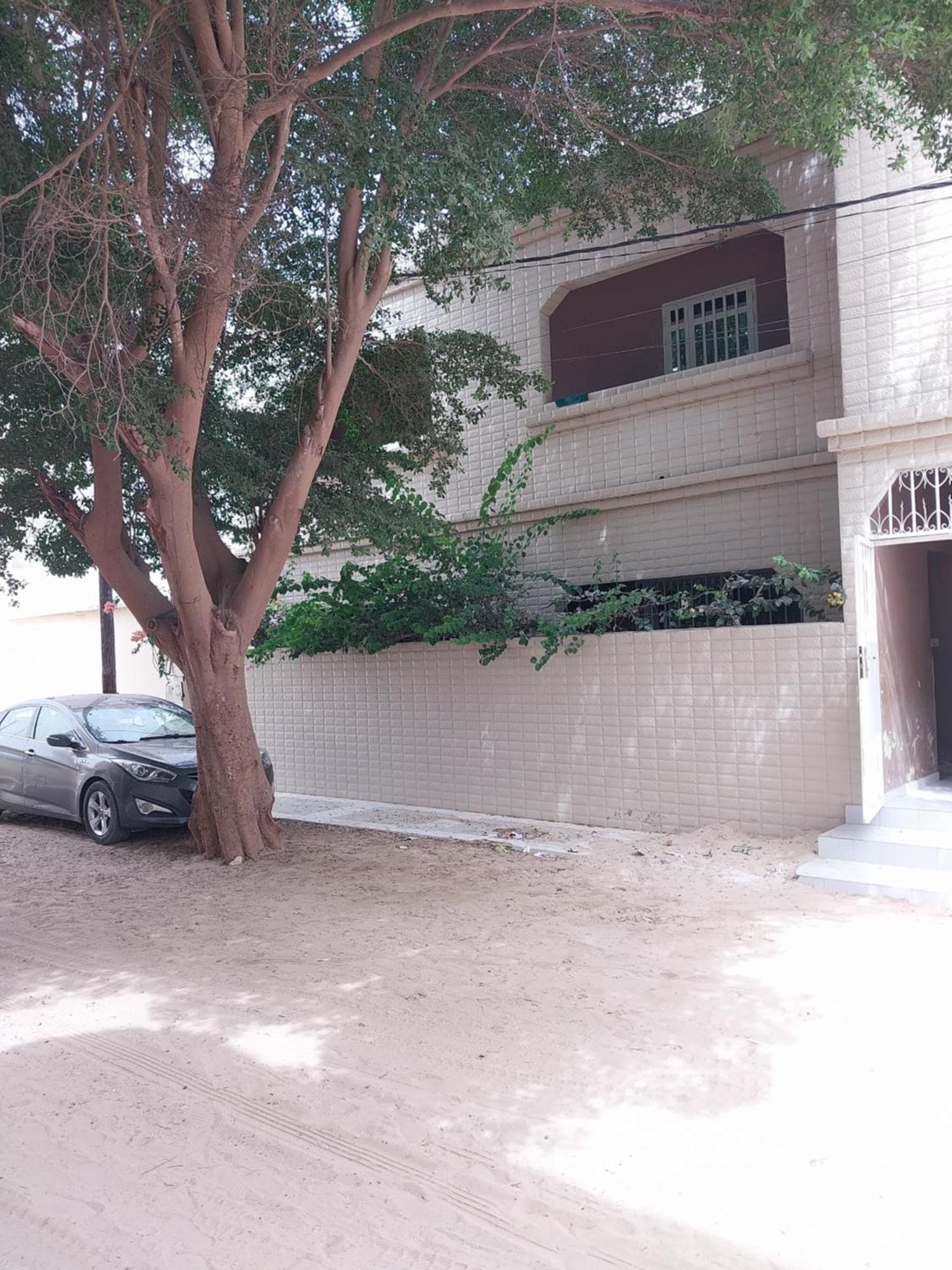 Chez Ousmane Fall Asecna Saint-Louis Kültér fotó